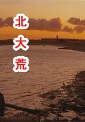美女性视频网站